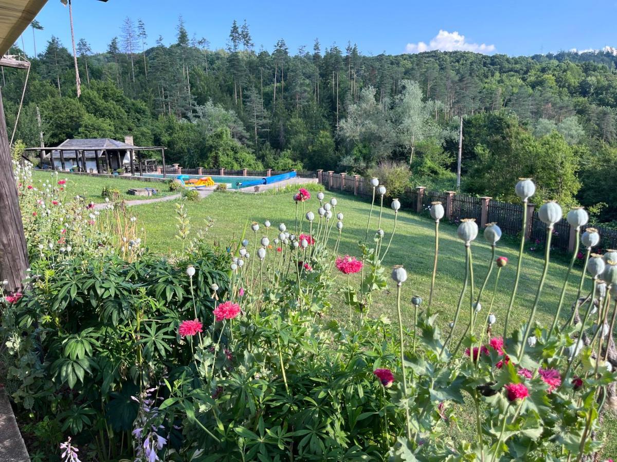 Agriturismo Hidden Paradise Villa Tryavna Exterior photo