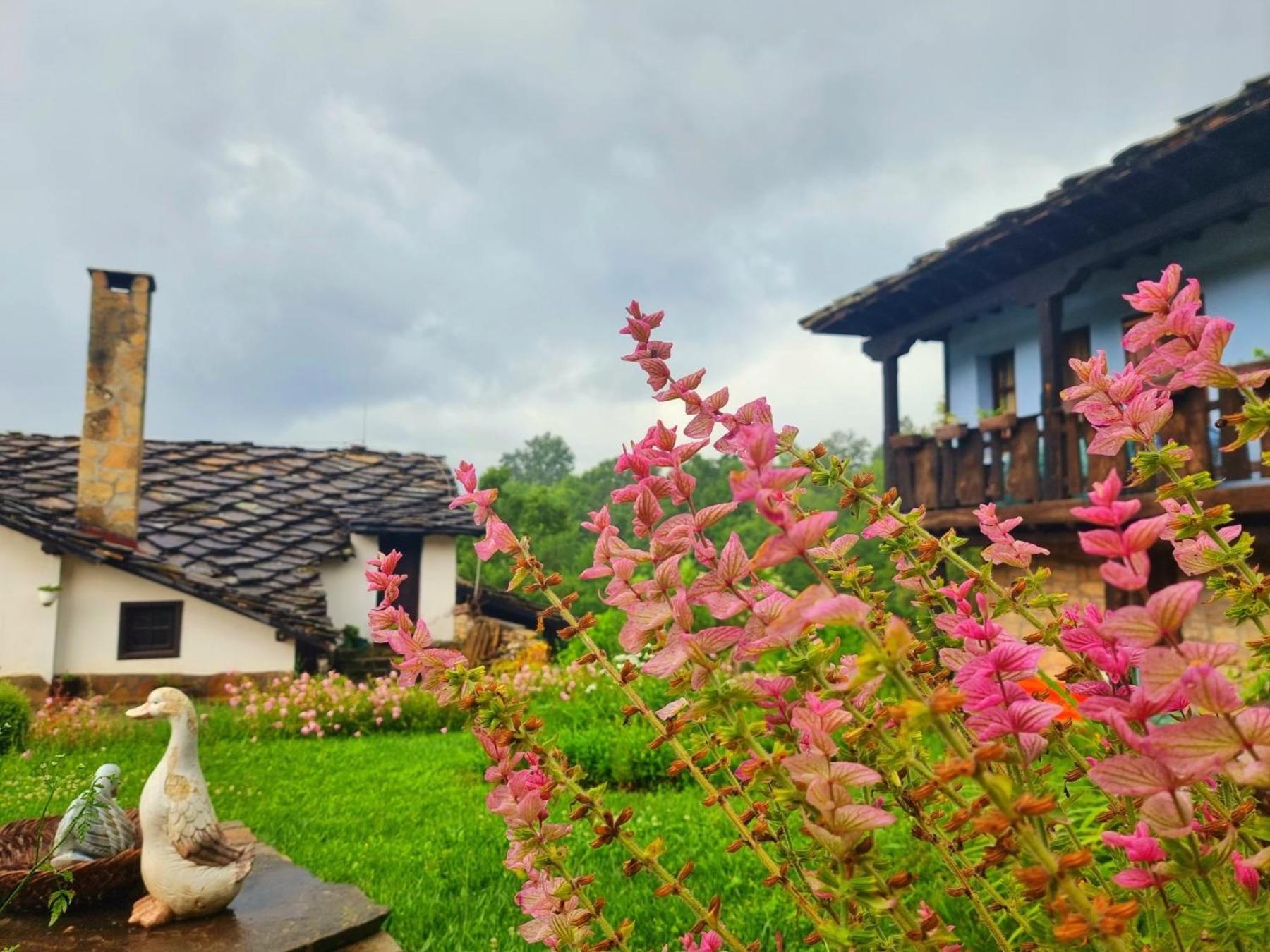 Agriturismo Hidden Paradise Villa Tryavna Exterior photo