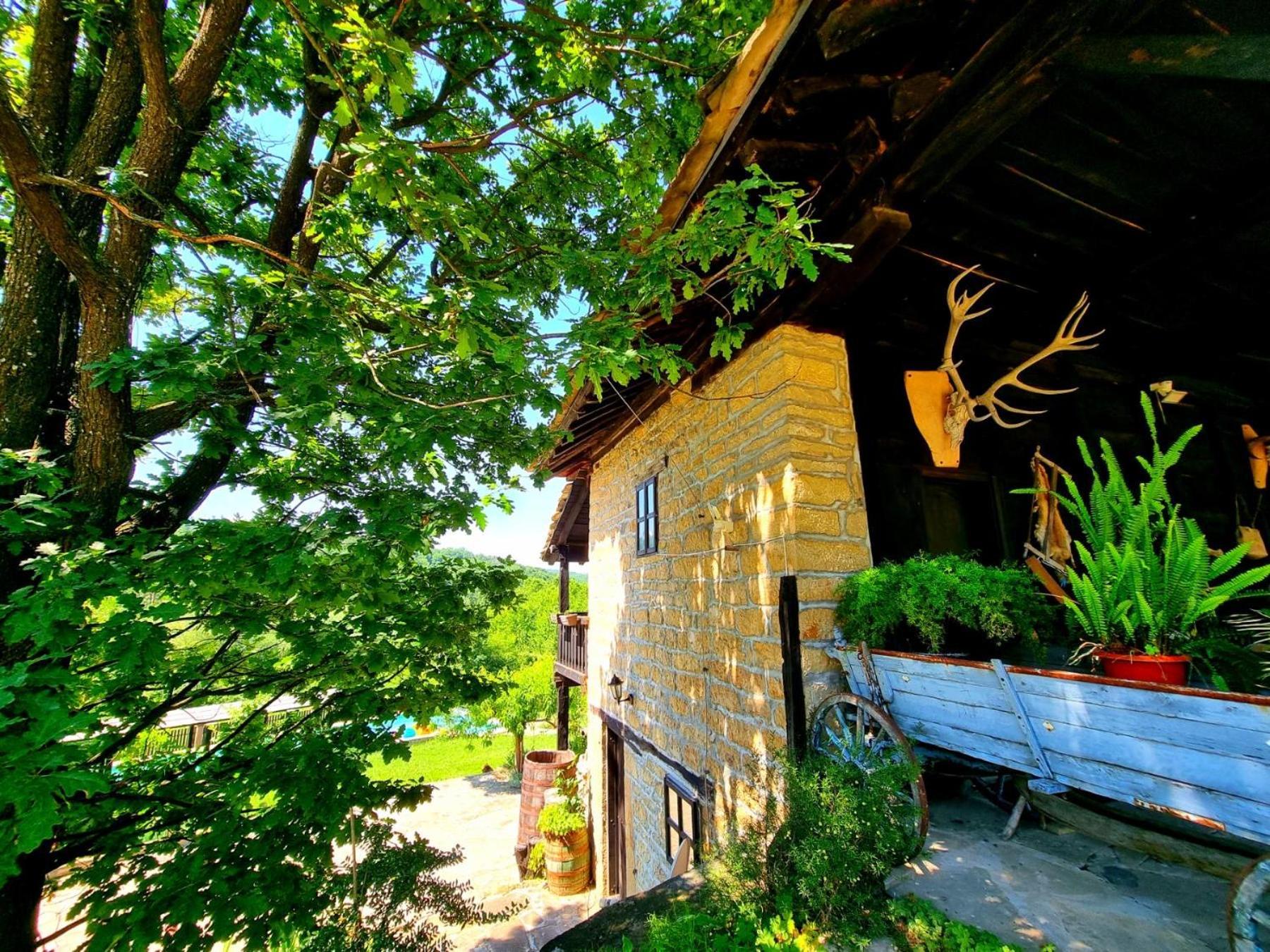 Agriturismo Hidden Paradise Villa Tryavna Exterior photo